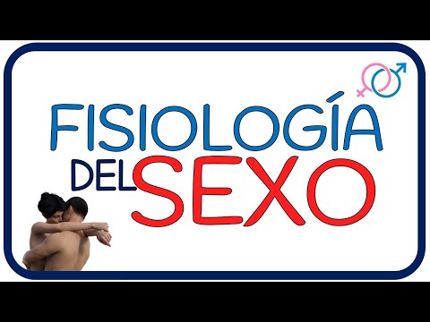 Vídeo: Piel Enrojecida, Orgasmo Y El Ciclo De Respuesta Sexual: 9 Cosas Que Debe Saber