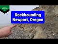 Rockhounding Oregon  - Newport, Oregon