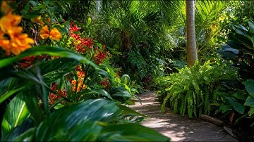 Tropical Garden Trends & Landscaping Secrets to Boost Property Value in 2025