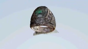 3D Ring Model