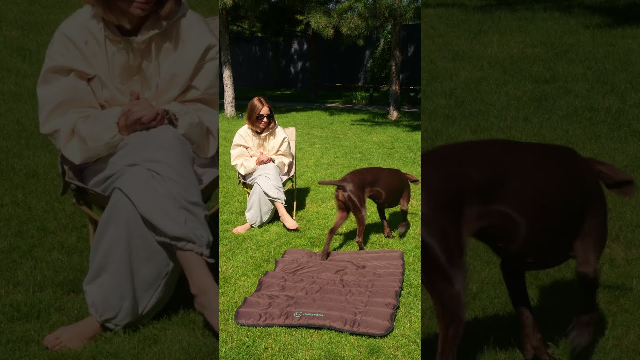 Коврик для собак Travel roll up mat Gray