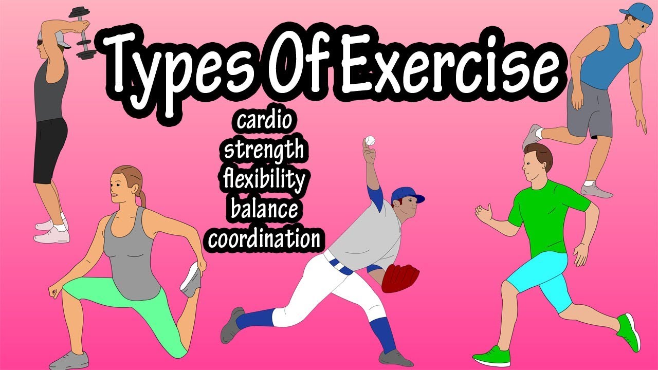 Different Main Types Of Exercises - Cardio, Strength Training, Flexibility,  Balance And Coordination 