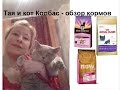 Обзор кормов для кошек NOW Natural holistic, Royal Canin, Hills Ideal Balance