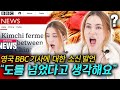 중국 김치 먹은 영국 BBC 기자? 영국인이 한국에 살기 잘한 이유