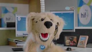 Why West Aussies Are Choosing The Other Wa Health Fund - Hif Tv Ad