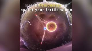 精子进入 GG16:9 英语 2021 08 19