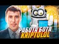 Все о боте KRIPTOLOLвсе минусы и плюсы робота биржи BINGX