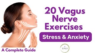 20 Vagus Nerve Exercises For Stress And Anxiety Complete Guide To Help Rewire Brain