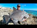 I’ve NEVER Caught this FISH Before! | Coastlines - Episode 2