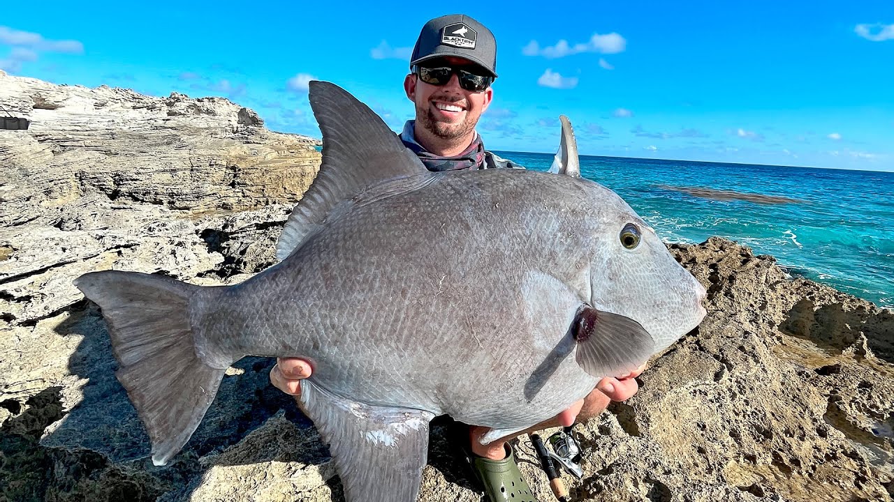 blacktiph fishing reels I’ve NEVER Caught this FISH Before! | Coastlines