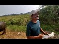 Ultimate Egret Bird Hunting With Slingshot! Mp3 Song