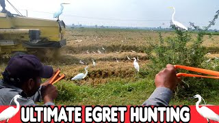 Ultimate Egret Bird Hunting With Slingshot!