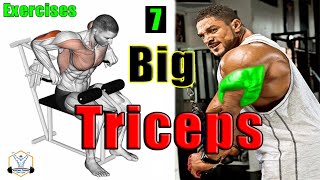 افضل تمارين لضخامة عضلات الترايسبس | Big Triceps Workout