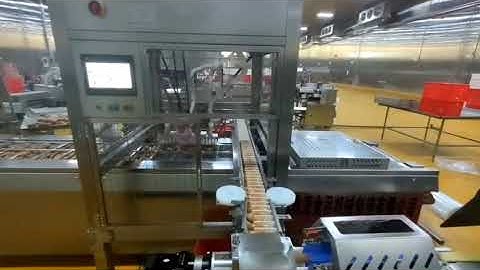 Automatic sausage packaging machine