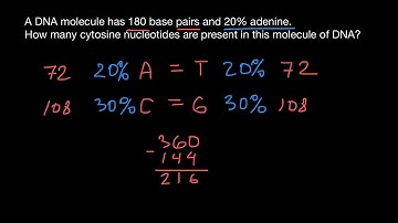 How to find base composition of the dsDNA