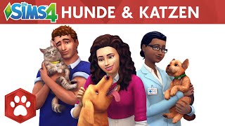 Die Sims 4 Hunde Katzen Offizielle Website
