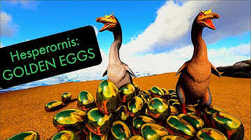 HESPERORNIS: GOLDEN EGG OF TRUTH