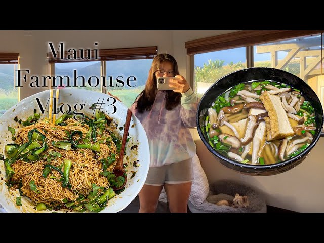 Maui Farmhouse Vlog #3 Vegan Pho, Instant Noodle Hack, & Shell-less Fish Taco | Realistic Cooking | Seonkyoung Longest