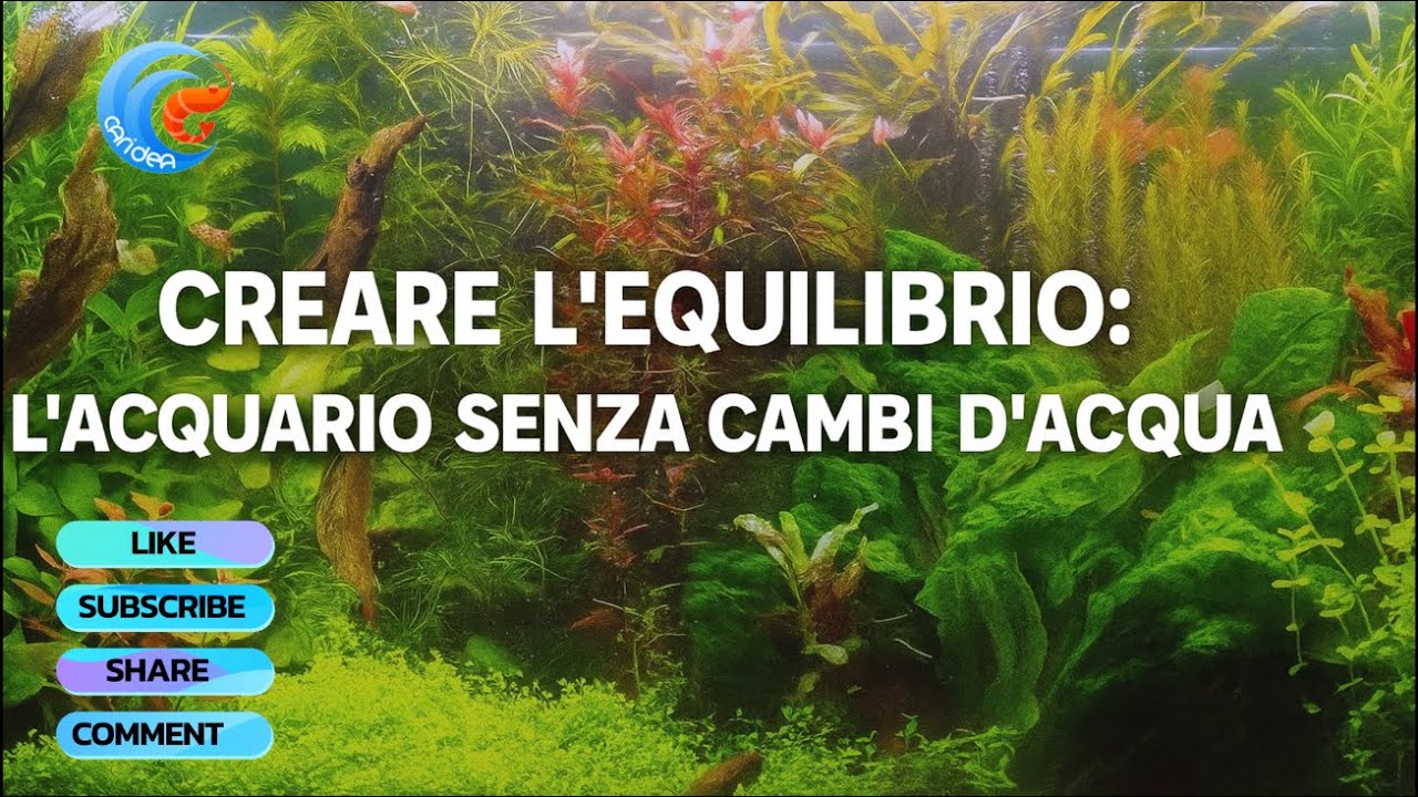 CREARE L'EQUILIBRIO PERFETTO, COME GESTIRE UN ACQUARIO SENZA FARE CAMBI ...