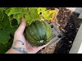 Fall is right around the corner. Let’s talk about what I learned this year