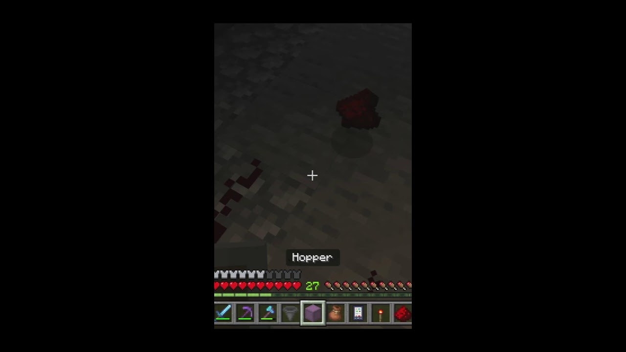 Minecraft Survival World