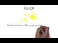 Omega 3 foods