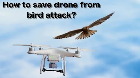 How to save drone from birds attack ?