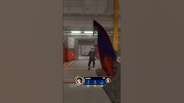 MP5-SD 3K on Nuke #shorts #clips #best #funny #moments #susther #foryou #cs2