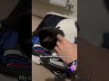 #cat #catlover #catvideos #catshorts #cats #catlovers