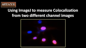 Using ImageJ to measure Colocalization from two different channel images