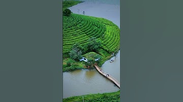 Vagamon 📍idukki #explorepage #vagamon #idukki #naturephotography #kerala #tourism #wayanad #shorts
