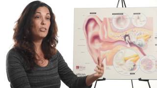 Hearing With Your Brain