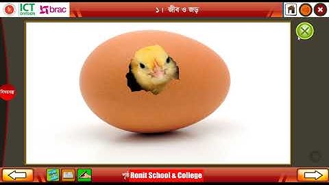 Class 3 Science Chapter-2 Part-1 ।। তৃতীয় শ্রেণি প্রাথমিক বিজ্ঞান অধ্যায়-২ পাঠ-১