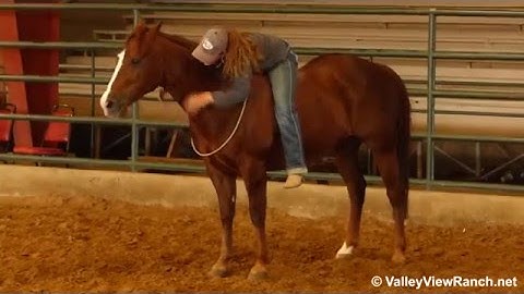 Solanos Saskadoc - riding bareback in indoor arena #3 - Valley View Ranch