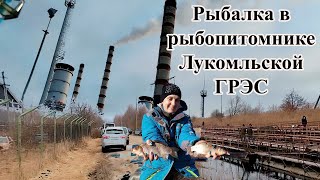 ОСОБЕННОСТИ РЫБАЛКИ на ТЁПЛОМ КАНАЛЕ Новолукомль  Рыбалка в рыбопитомнике на Канале Лукомльской ГРЭС