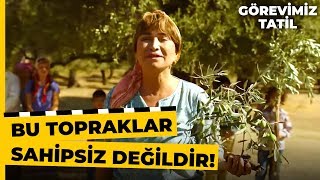 Türkan, Zeytin Ağaçları İçin Video Çekti Görevimiz Tatil