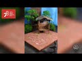 TOYSPHOTOGRAPHY DENGAN KEARIFAN LOKAL.. APA JADINYA KALAU PAK JOKOWI MAIN SUDAMANDA?