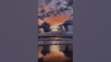 الشيخ ياسر الدوسري (سورة القصص)