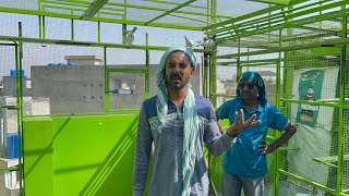 40+ temperature Ki Kabootar Bazi 😎