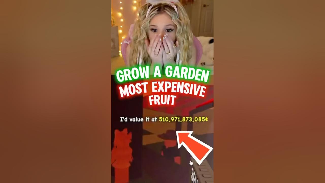 Did I Just Get The “MOST EXPENSIVE” FRUIT in GROW A GARDEN on ROBLOX? Did I Just Get The “MOST EXPENSIVE” FRUIT in GROW A GARDEN on ROBLOX?