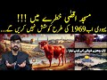 Red heifers and destruction of al aqsa  day of judgement  2024 qayamat ki nishani  shaikh kashif