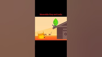 Difference Between Pin and Coiny