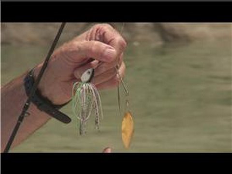 Fishing Lures & Baits : How to Work a Spinner Bait