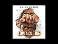Puian Marius – Lupta cu tine | Official Audio 2026