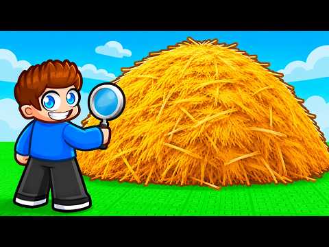 FIND THE NEEDLE IN THE HAYSTACK in Roblox!