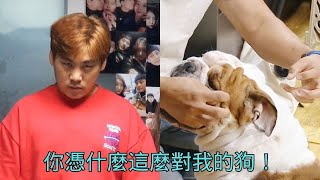 訓犬師差點被咬男主人竟然生氣訓犬師做了防禦推自己的愛犬