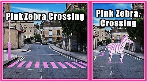 Power of Comma - A Funny Mistake You Don