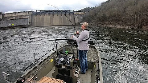 Cumberland River fishing below Wolf Creek Dam (Trout fishing)