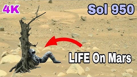 Rover On Mars ! Latest Mars Perseverance Rover Stunning Video By NASA ! Latest NASA