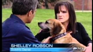 ABC News 2-28-12 Texas A&M Cancer Research Funded by CHF.wmv by AKC Canine Health Foundation 325 views 12 years ago 1 minute, 44 seconds